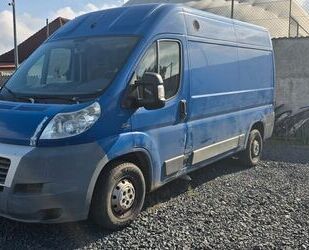 Fiat Ducato Gebrauchtwagen