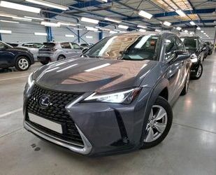 Lexus UX Gebrauchtwagen