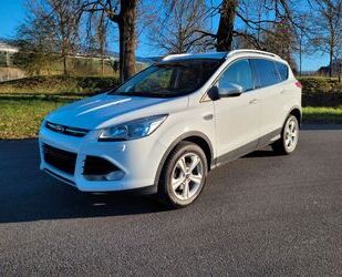 Ford Kuga Gebrauchtwagen