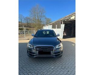 Audi SQ5 Gebrauchtwagen