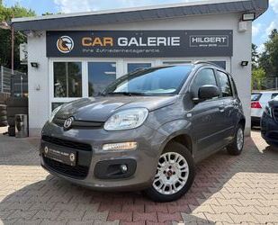 Fiat Panda Gebrauchtwagen