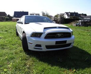 Ford Mustang Gebrauchtwagen