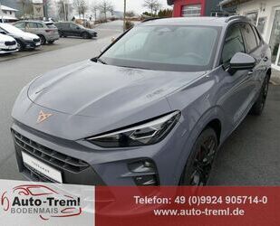 Cupra Terramar Gebrauchtwagen