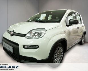 Fiat Panda Gebrauchtwagen