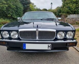 Jaguar XJ40 Gebrauchtwagen