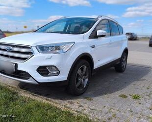 Ford Kuga Gebrauchtwagen