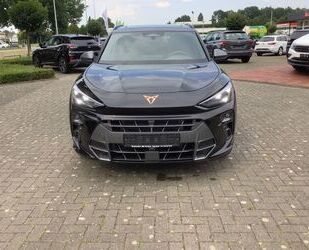 Cupra Terramar Gebrauchtwagen