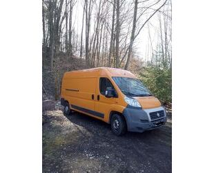 Fiat Ducato Gebrauchtwagen