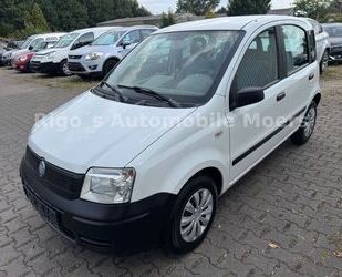 Fiat Panda Gebrauchtwagen