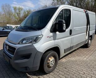 Fiat Ducato Gebrauchtwagen