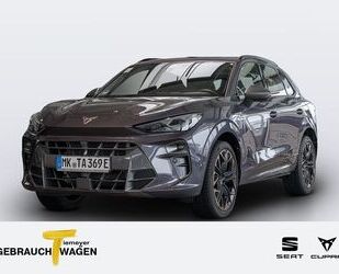 Cupra Terramar Gebrauchtwagen