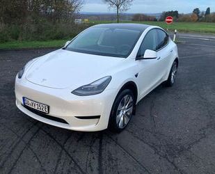 Tesla Model Y Gebrauchtwagen