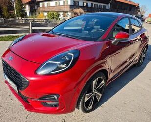 Ford Puma Gebrauchtwagen