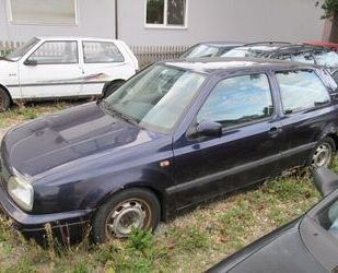 VW Golf Gebrauchtwagen
