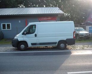 Fiat Ducato Gebrauchtwagen