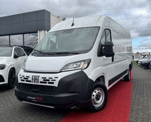 Fiat Ducato Gebrauchtwagen