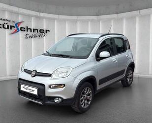 Fiat Panda Gebrauchtwagen