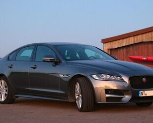 Jaguar XF Gebrauchtwagen