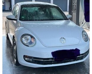 VW Beetle Gebrauchtwagen