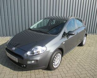 Fiat Punto Gebrauchtwagen