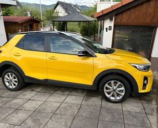Kia Stonic Gebrauchtwagen