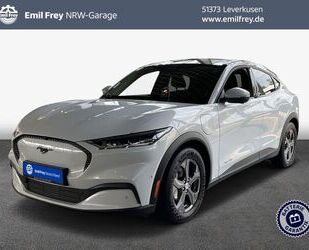 Ford Mustang Mach-E Gebrauchtwagen