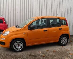 Fiat Panda Gebrauchtwagen