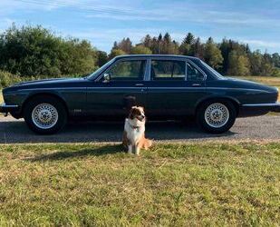 Jaguar Daimler Gebrauchtwagen