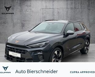 Cupra Terramar Gebrauchtwagen