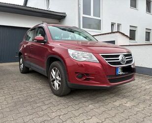 VW Tiguan Gebrauchtwagen