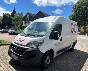 Fiat Ducato Gebrauchtwagen