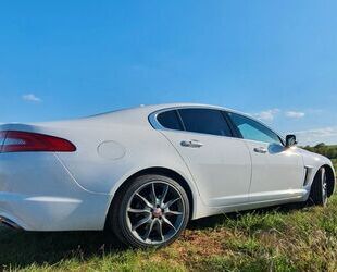 Jaguar XF Gebrauchtwagen