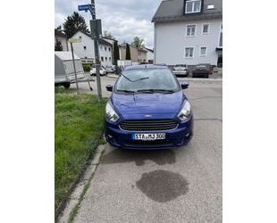 Ford Ka/Ka+ Gebrauchtwagen