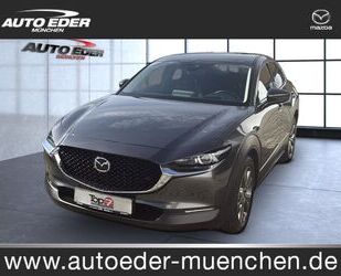 Mazda CX-30 Gebrauchtwagen