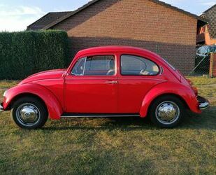 VW Käfer Gebrauchtwagen
