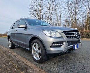 Mercedes-Benz ML 350 Gebrauchtwagen