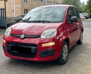 Fiat Panda Gebrauchtwagen