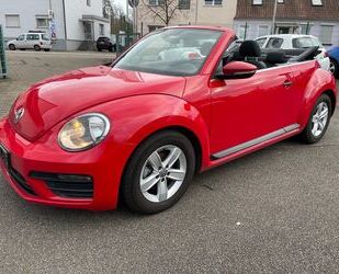 VW Beetle Gebrauchtwagen
