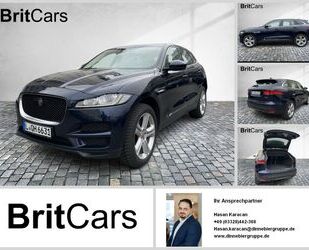 Jaguar F-Pace Gebrauchtwagen