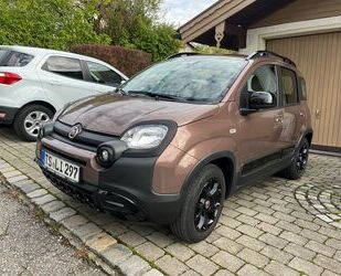 Fiat Panda Gebrauchtwagen
