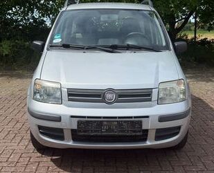 Fiat Panda Gebrauchtwagen