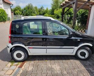 Fiat Panda Gebrauchtwagen