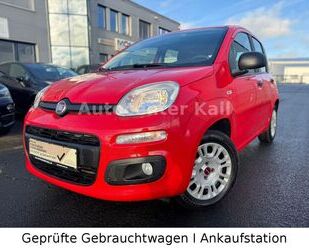 Fiat Panda Gebrauchtwagen
