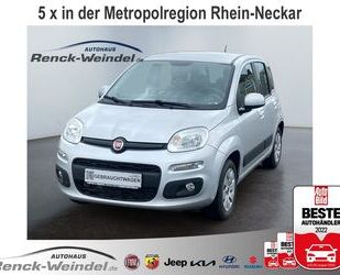 Fiat Panda Gebrauchtwagen