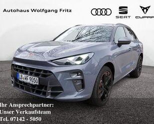 Cupra Terramar Gebrauchtwagen