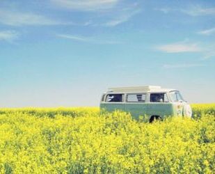 VW T2 Gebrauchtwagen