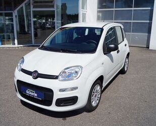Fiat Panda Gebrauchtwagen
