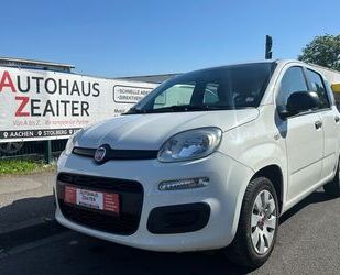 Fiat Panda Gebrauchtwagen