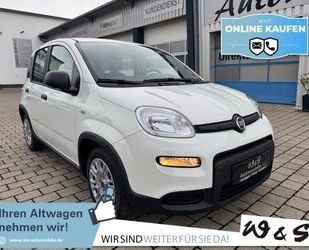 Fiat Panda Gebrauchtwagen