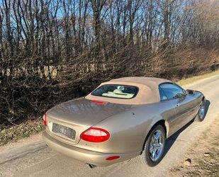 Jaguar XK8 Gebrauchtwagen